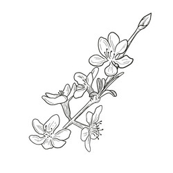 Similar image 21266409