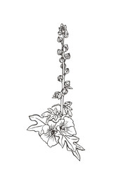 Similar image 21266411