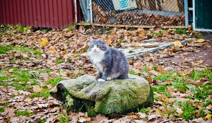 Similar image 21271837