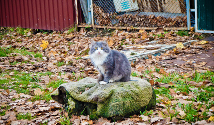 Similar image 21271838