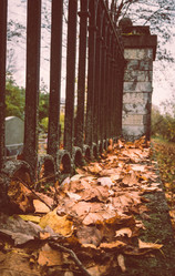 Similar image 21271840