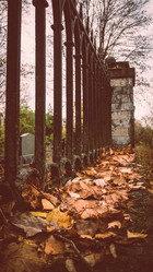 Similar image 21271841