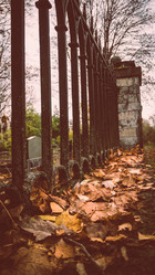 Similar image 21271842