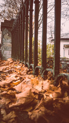 Similar image 21271843