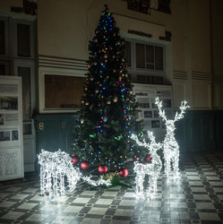 Similar image 21264481