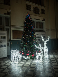 Similar image 21264482