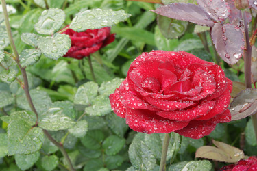 Similar image 21262427