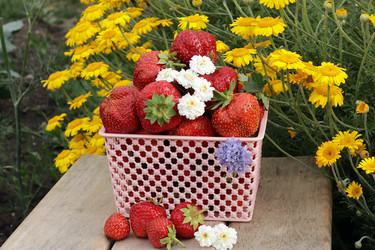 Similar image 21262428