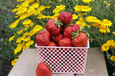 Similar image 21262429