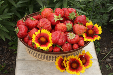 Similar image 21262431