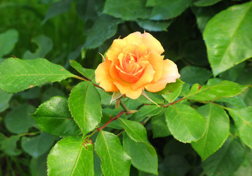 Similar image 21283026