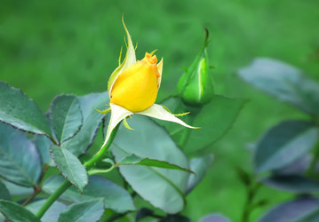 Similar image 21283027