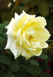 Similar image 21283028