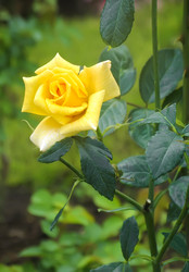 Similar image 21283029