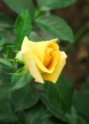 Similar image 21283030