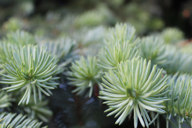 Similar image 21272871