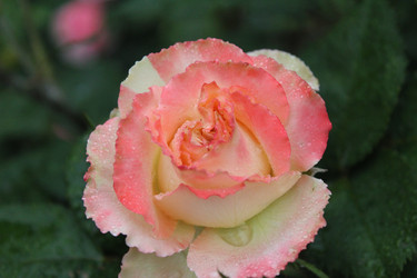 Similar image 21272872