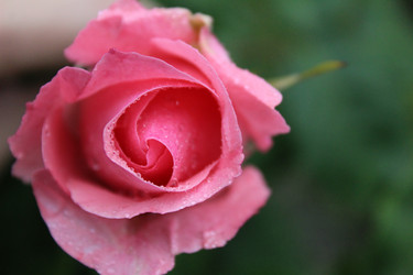 Similar image 21264806