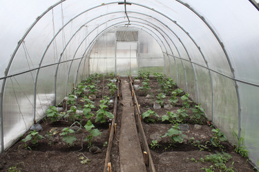 Similar image 21264809