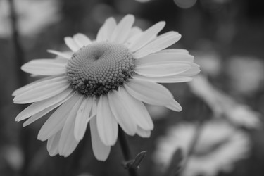 Similar image 21276512