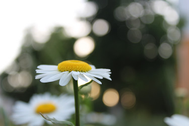 Similar image 21264823