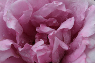 Similar image 21264825