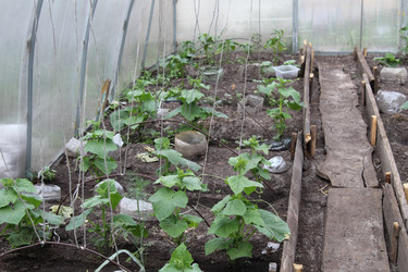 Similar image 21272886