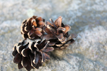 Similar image 21276518