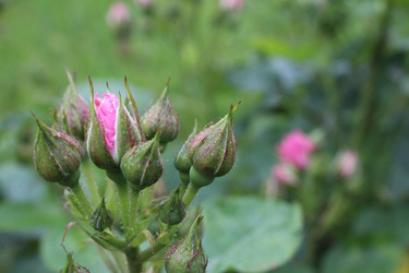 Similar image 21272888