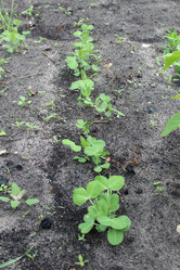 Similar image 21272889