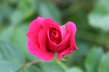 Similar image 21264834