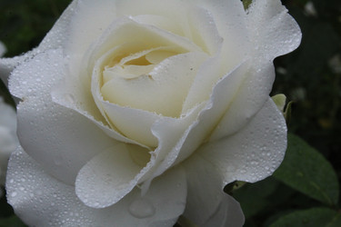 Similar image 21264835