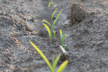 Similar image 21264836