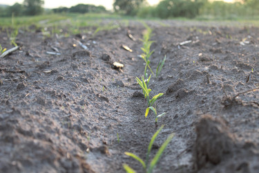 Similar image 21264837