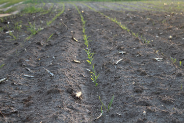 Similar image 21264838