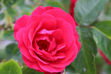 Similar image 21264839