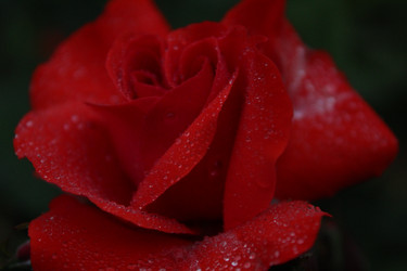 Similar image 21264840