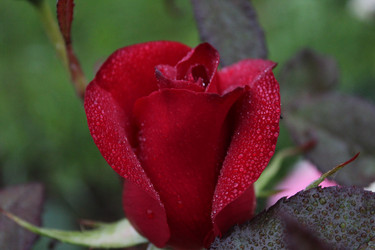 Similar image 21264841