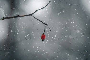 Similar image 21265544