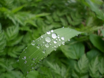 Similar image 21267452