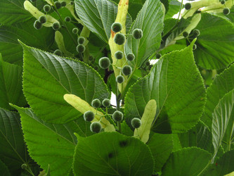 Similar image 21267453