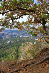 Similar image 21264491