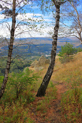 Similar image 21264499