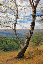 Similar image 21264500