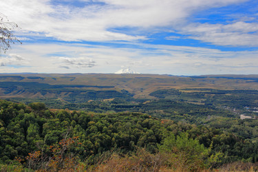 Similar image 21264502