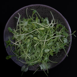 Similar image 21264504