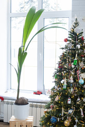 Similar image 21266429