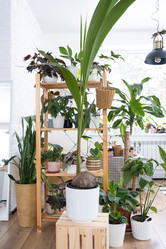 Similar image 21266439