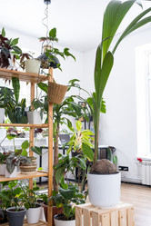 Similar image 21266443