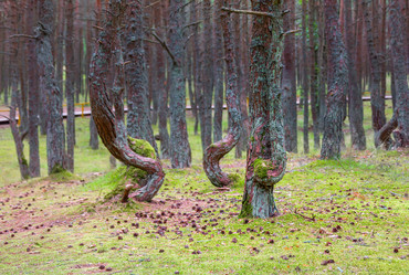 Similar image 21283033